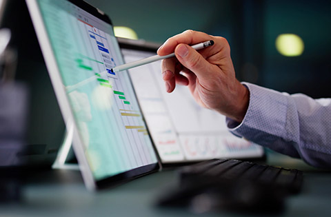 Program Management